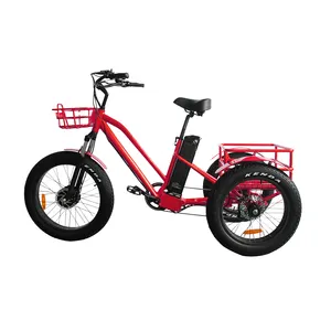 Triciclo eléctrico de carga motorizado, RSD-706, 48v, 500w, a la venta con freno de disco