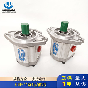 ปั๊มเกียร์ Xingchenrui รุ่น CBF F4 ซีรีส์ 1 สเตจ แบบยึดหน้าแปลน สำหรับส่งน้ำมันไฮดรอลิก แกนตั้ง ขับเคลื่อนด้วยไฟฟ้า - Product Image 4