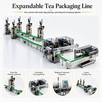 Machine à emballer automatique de sachet de thé en soie de pyramide de triangle pour le sachet de thé intérieur et extérieur