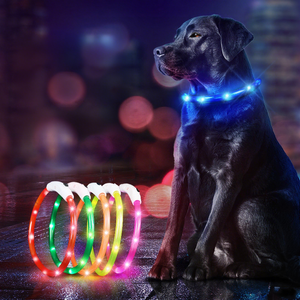 <span class=keywords><strong>Collar</strong></span> recargable para mascotas que brilla en la oscuridad para perros Patrón sólido Cintas Decoración Noche brillante de plástico para ventas transfronterizas - Product Image 1