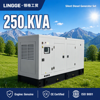 Groupe électrogène diesel insonorisé LINGGE 250 kVA avec moteur Cummins d'origine, puissance de secours pour l'exploitation minière