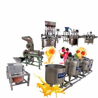 Machine à jus d'orange et de mangue aux fruits frais - Ligne de production de machines de fabrication de boissons industrielles avec acier inoxydable, personnalisable