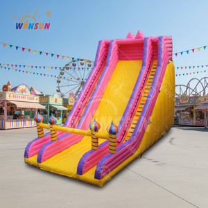 WINSUN Grande Glissade Gonflable Commerciale Attrayante en PVC pour Usage Sec - Product Image 2