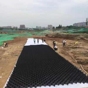 도로 토양 안정화를 위한 플라스틱 진입로 HDPE 자갈 그리드 지오셀 - Product Image 6