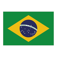 Hannuo 2026 Beliebte Fußball-Fanartikel: Brasilianische Flaggen-Serie mit Schlüsselanhänger, Sonnenbrille, Partyhut und Handflagge für Promotion