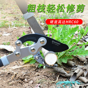RUR Telescopic Lopping <b>Shears</b> 30-50 Mm Alloy Steel Pruning <b>Tool</b> For Fruit Trees Garden Use - Product Image 4