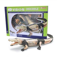 Modèle de crocodile 4D Master éducatif à assembler, 26 pièces, en plastique simulé, pour l'enseignement anatomique médical des organes