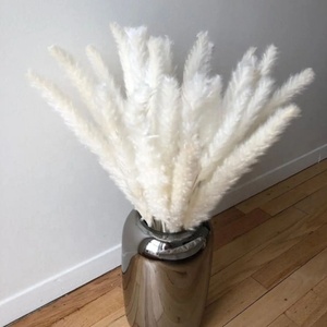 O-033 Pampas Secas Blancas Pequeñas Personalizadas, Populares, Esponjosas, Naturales y Silvestres - Product Image 2