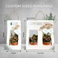 Boîte en papier kraft écologique personnalisée, adaptée aux emballages de plantes en pot, possibilité d'imprimer votre logo