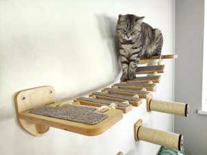 HOSTK - Árbol para Gatos de Bambú Personalizado, Decorativo, de Madera, Mueble de Pared Sostenible para Mascotas, Estantes de Pared para Gatos, Cama - Product Image 2