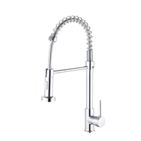 Robinet de cuisine SANIVITAL à poignée unique, finition chromée, en acier inoxydable 304, mitigeur chaud/froid à poser sur comptoir pour la maison