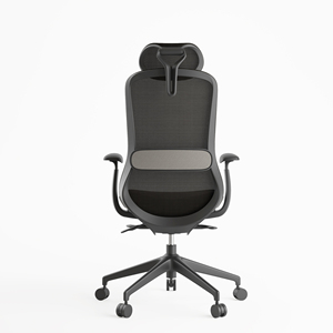 <span class=keywords><strong>Coussin</strong></span> <span class=keywords><strong>de</strong></span> siège ergonomique professionnel coloré pour <span class=keywords><strong>chaise</strong></span> <span class=keywords><strong>de</strong></span> <span class=keywords><strong>bureau</strong></span>, coussins <span class=keywords><strong>de</strong></span> <span class=keywords><strong>chaise</strong></span> <span class=keywords><strong>de</strong></span> direction, mobilier <span class=keywords><strong>de</strong></span> <span class=keywords><strong>bureau</strong></span>, <span class=keywords><strong>chaise</strong></span> <span class=keywords><strong>de</strong></span> patron en métal et aluminium - Product Image 4