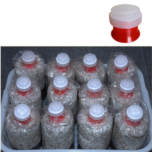 High-Quality Filter Caps and Rings for Mushroom Growing Autoclavable & Breathable Accessories for <b>Grow</b> <b>Bags</b> - Product Image 5