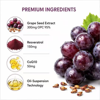 Gélules antioxydantes OEM au resvératrol, CoQ10 et extrait de pépins de raisin, complexe anti-âge pour la protection cardiaque, cutanée et cellulaire, complément pour adultes
