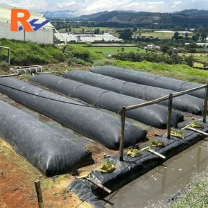 <span class=keywords><strong>Prix</strong></span> de la géomembrane, revêtement de barrage pour digesteur d'huile de palme, biogaz, géomembrane HDPE, lagune anaérobie, usine de biogaz, déchets animaux - Product Image 1