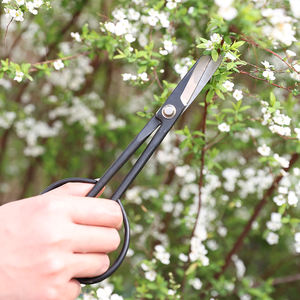 Tijeras para podar plantas <span class=keywords><strong>de</strong></span> vivero, tijeras para recoger frutas, bonsái, cortador <span class=keywords><strong>de</strong></span> entrenamiento, fabricante, herramientas manuales, podadora negra - Product Image 3
