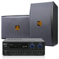 Kit combiné amplificateur/microphone pour salle de réunion professionnelle SHILE AV108 BX119, système audio de divertissement KTV à domicile