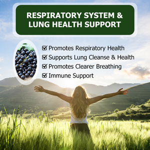 OEM ODM Custom Vitamin C <b>Supplement</b> Natural Elderberry Liquid Drops Promote Respiratory Health Elderberry Safety Herbal Drink - Product Image 5