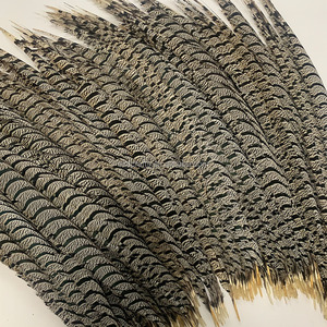 Plumas <span class=keywords><strong>de</strong></span> <span class=keywords><strong>Cola</strong></span> <span class=keywords><strong>de</strong></span> Faisán Zebra Blancas Naturales <span class=keywords><strong>de</strong></span> 90-100 cm, 36-40 Pulgadas, al por Mayor, para Decoración <span class=keywords><strong>de</strong></span> Disfraces <span class=keywords><strong>de</strong></span> Carnaval y Samba - Product Image 2