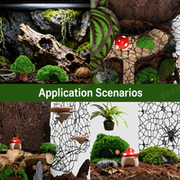 Accessoires pour terrarium : Enclos 3D à thème pour araignées sauteuses, cachette pour insectes, plateforme de basking, aménagement paysager pour reptiles, décoration pour petits animaux de compagnie