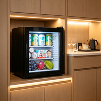 Mini-réfrigérateur d'hôtel 18L avec porte vitrée, minibar silencieux, refroidisseur compact pour boissons, pour chambre d'hôtes, chambre à coucher, bureau