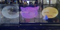 Écran LED souple P8 pour mur en verre, film transparent adhésif pour vitrine, ascenseur, signalétique intérieure