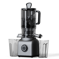 Professionele Volautomatische Grote Diameter Slow Juicer Afzuigmachine Zelfreinigende Vruchtensapmaker