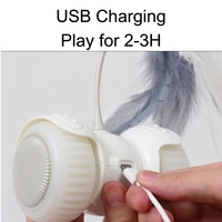 Jouet populaire pour animaux de compagnie : Voiture télécommandée USB rechargeable pour chat, jouet portable avec plumes interchangeables, pour la vente en gros aux magasins de fournitures pour animaux.