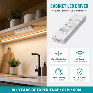 Fuente de Alimentación LED Personalizada de Fábrica LETARON, 12V 24V, para Iluminación de Gabinetes, Lámpara LED Interior, Solución Completa con Múltiples Protecciones - Product Image 4