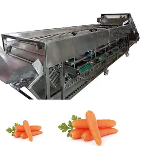 Hot Sale Full Stainless Steel Fruits Vegetable Sorting Grading Machine Carrots Potato Sorter