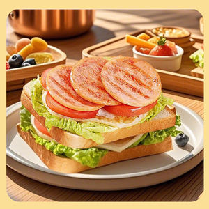 เนื้อไก่มีโปรตีนสูง340กรัมบรรจุกระป๋อง<span class=keywords><strong>เกลือ</strong></span>ทอดมีโปรตีนสูงสำหรับร้านอาหารกลางแจ้ง - Product Image 6