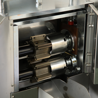 Machine d'emballage de conserves professionnelle personnalisée Machine d'emballage de prunes vertes Machine d'emballage d'oreiller horizontale de fruits secs