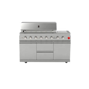 Horno de Gas Multifuncional con Asador, Estufa para Camping y Fiestas, Barbacoa de Acero Inoxidable con Múltiples Quemadores a Gas y Carbón AY-HNS-B8 - Product Image 1