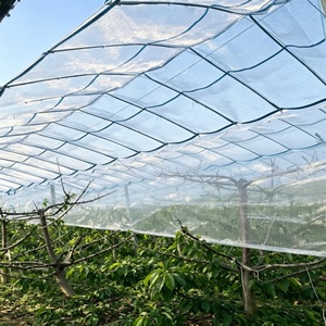 Film PE transparent tissé en plastique agricole <span class=keywords><strong>pour</strong></span> la protection contre la pluie des vergers et vignobles, 130 g/m² 150 g/m², <span class=keywords><strong>pour</strong></span> raisin de table, export France - Product Image 3