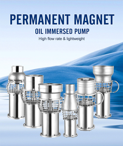 Pompe submersible multi-étages en acier inoxydable 5,5 kW 380 V, grand débit, moteur magnétique, pompe immergée dans l'huile - Product Image 3