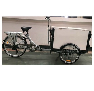 Vélo <span class=keywords><strong>cargo</strong></span> électrique haute performance avec fourche en aluminium Tricycle fortement sûr avec couvercle de boîte - Product Image 5