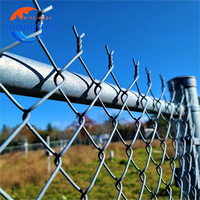 Rouleau de clôture grillagée en PVC 50*50mm Cyclone DiamondMesh, accessoires pour portails et clôtures grillagées
