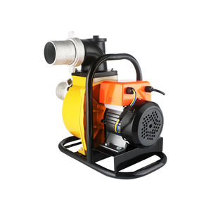 <span class=keywords><strong>Pompe</strong></span> à eau auto-amorçante <span class=keywords><strong>de</strong></span> sortie 25mm pour l'irrigation agricole, moteur sans balais <span class=keywords><strong>de</strong></span> <span class=keywords><strong>surface</strong></span> solaire <span class=keywords><strong>800W</strong></span>, fabricant - Product Image 3