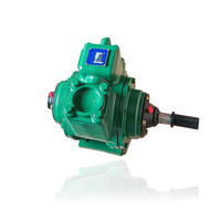 Pompa Vane Geser Pompa Bahan Bakar Diesel Rotary Pompa Transfer Bahan Bakar Bensin