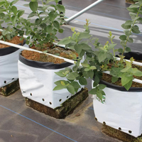Sac de culture respirant en LDPE/PE biodégradable et compostable, pot de plantation intelligent à élagage aérien, logo personnalisé, service OEM 1-20