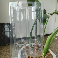 Emballage à clapet blister d'expédition de plantes personnalisé emballage jetable transparent en pvc pour animaux de compagnie boîte à clapet