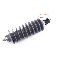 Parafoudre standard à l'oxyde de zinc pour extérieur haute tension, tous modèles