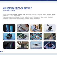 3.7V 800mAh 2 kabel 802050 cair baterai 500 siklus untuk TWS perekam Smartband MP3 jam tangan pintar L043
