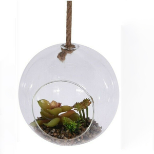 Globe <span class=keywords><strong>en</strong></span> <span class=keywords><strong>verre</strong></span> <span class=keywords><strong>pour</strong></span> plantes aériennes suspendues avec corde <span class=keywords><strong>en</strong></span> jute - Product Image 3