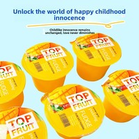 Selai Mangga Rasa Buah Gaya Korea dalam Cup 115g*6pcs Cat Village Chief