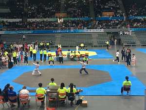 LINYIQUEEN-esteras de lucha libre, esterillas de lucha de segunda mano, Rollo flexible, tatami, judo, matten, baratas - Product Image 2