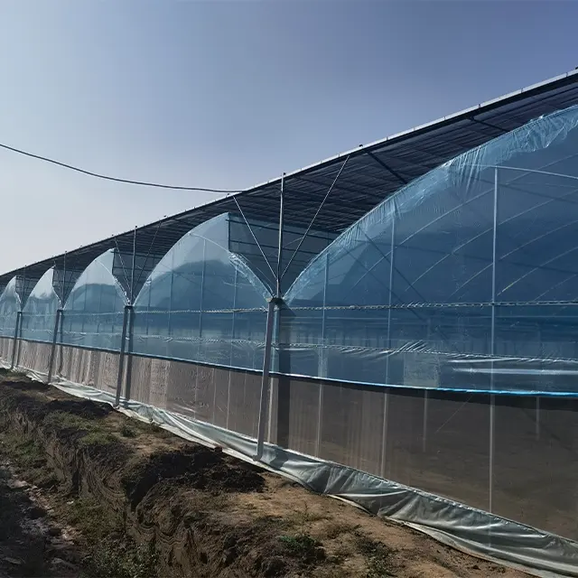 Rumah kaca baja Multi-Span, baru dengan Film plastik untuk biji sayuran dan pertanian untuk pertanian