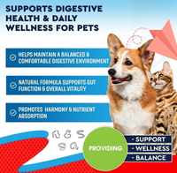Échantillons gratuits Dewo Herbal Cleanse pour chiens et chats Suppléments de gouttes liquides avec soins de digestion à l'origan et aux graines de citrouille