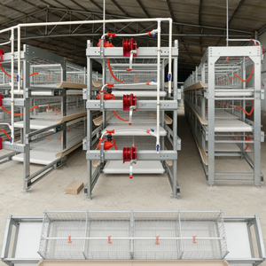 Cage à batterie automatique à 4 niveaux <span class=keywords><strong>pour</strong></span> 80 poules pondeuses, équipement d'élevage avicole <span class=keywords><strong>pour</strong></span> poulets de chair et poules pondeuses - Product Image 2