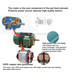 Di alta qualità 180-200 kg/h galleggiante pesce cibo estrusore macchina Pet cane cibo per gatti che fa la macchina con il nucleo del motore componente - Product Image 6